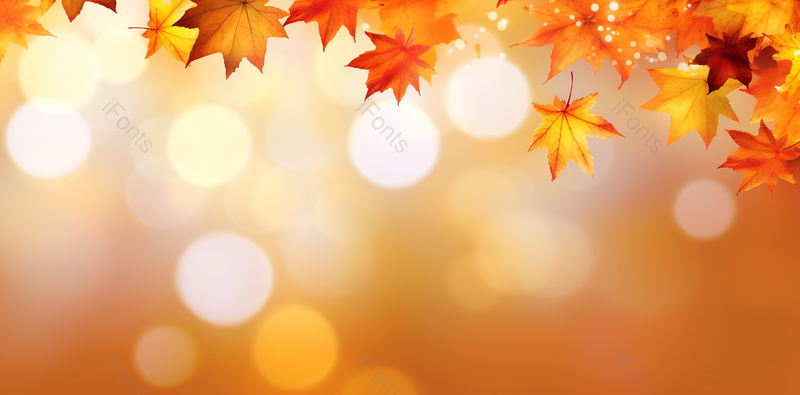 花艺枫叶黄色系背景电商广告,高清,摄影图,摄影图片,图片大全,摄影图免费下载